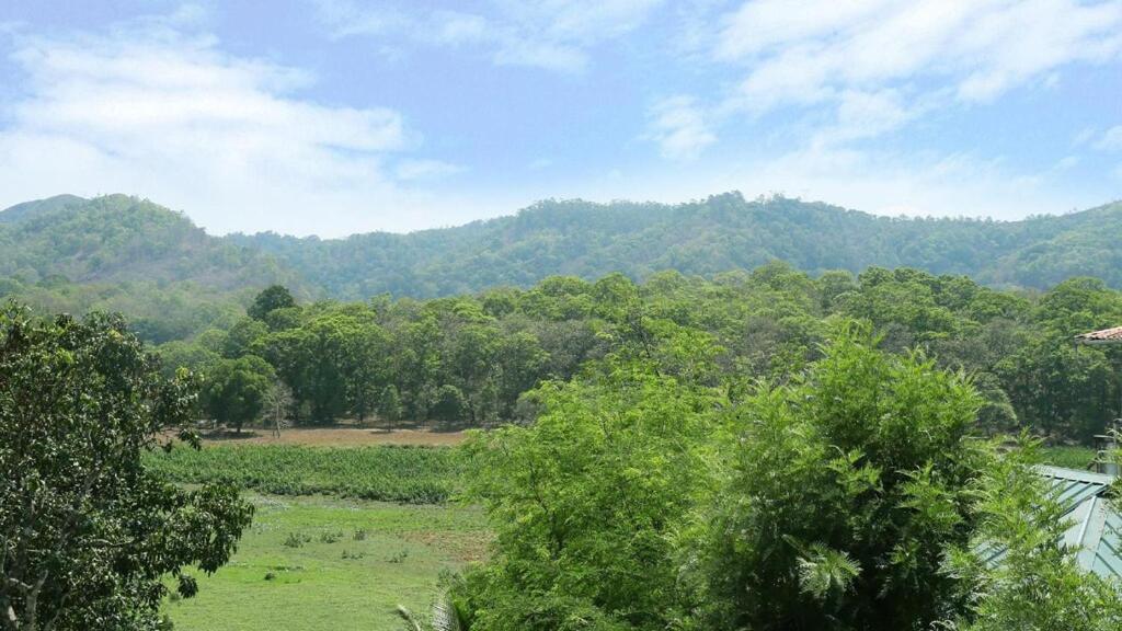 Hill Green Home Stay Теккаді Екстер'єр фото