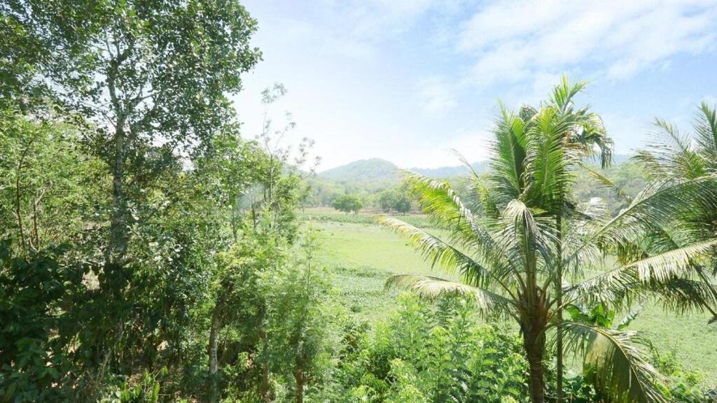 Hill Green Home Stay Теккаді Екстер'єр фото